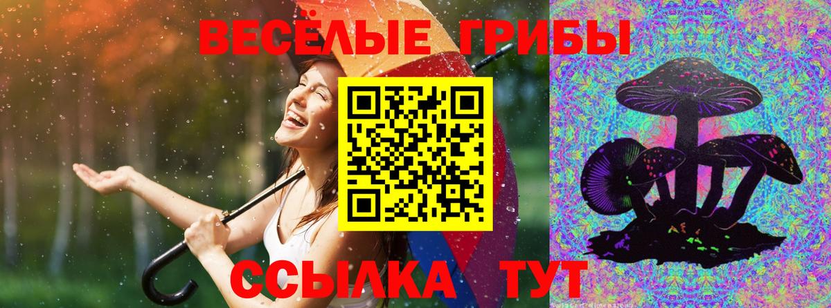 Псилоцибиновые грибы мухоморы Курчатов