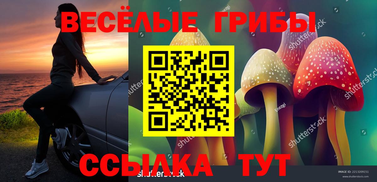 Курчатов  Галлюциногенные грибы прущие грибы  Вход с VPN 